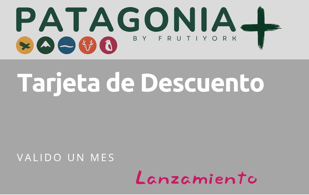 Tarjeta Plan Lanzamiento